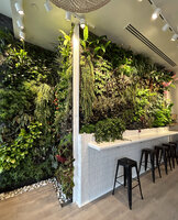 Wild and the Moon, Indoor restaurant with bar at Printemps Doha, Vertical Gardens by Patrick Blanc