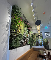 Wild and the Moon restaurant at Printemps Doha, Vertical Gardens by Patrick Blanc