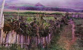 Wooden fences covered at the top by epiphtic Riedelia, Orchids, Ferns and Ericaceae collected in the forest, Langda, West Papua