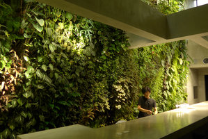 Yosuke opening a bottle of the best French white wine, Costume National Vertical Garden, Fukuoka, Sept. 2016