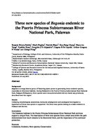 Botanical Studies, Dec. 2015. Description of Begonia taraw, B. tagbanua and B. hughesii