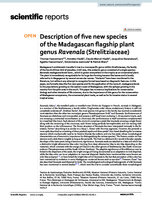 Haevermans T., Hladik A., Hladik C. M., Razanatsoa J., Haevermans A., Jeannoda V. and P. Blanc, 2021 - .Description of five new species of the Madagascan flagship plant genus Ravenala, Strelitziaceae, Nature Scientific Reports - 11, 1 - 14,