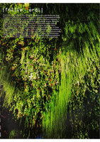 Elle Decor Italia, Jan. 2007, Patrick Blanc Folies Végétales, Espace EDF Electra