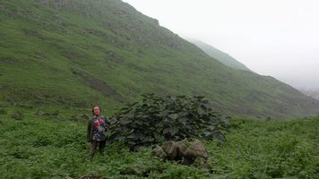 Field trip with PATRICK BLANC in PERU - Part 1