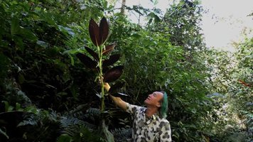 Field trip with PATRICK BLANC in PERU - Part 3