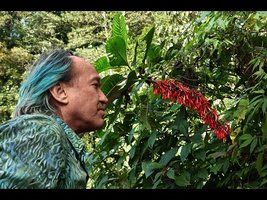 FIELD TRIP WITH PATRICK BLANC - GUATEMALA - PART 1, HIGHLANDS