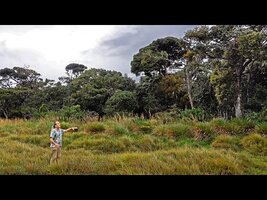 FIELD TRIP WITH PATRICK BLANC IN SRI LANKA - HORTON PLAINS 