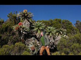 FIELD TRIP WITH PATRICK BLANC IN ETHIOPIA - SOUTHERN PART