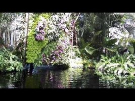 Patrick Blanc Green Wall Orchids