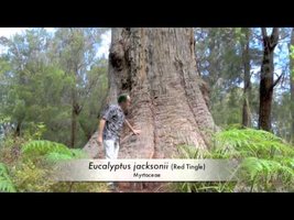 Mission sur le terrain en Australie Occidentale