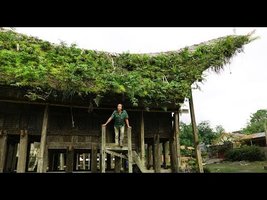 Field trip with Patrick Blanc -  Sulawesi Selatan