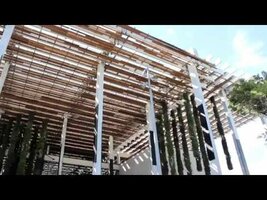 Pérez Art Museum Miami (PAMM): Hanging Gardens