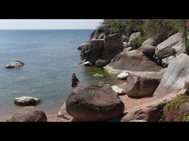 Field Trip with Patrick Blanc, Malawi Part 1