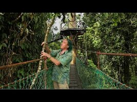 FIELD TRIP WITH PATRICK BLANC, DANUM VALLEY, BORNEO SABAH