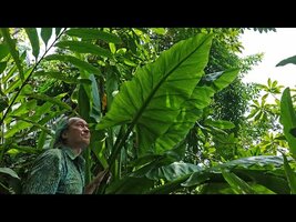 FIELD TRIP WITH PATRICK BLANC IN TANZANIA - PART 3