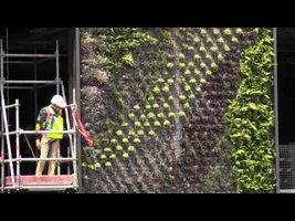 Patrick Blanc talks about Vertical Gardens at One Central Park November 2012