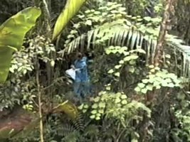 Mission Ravenala , Madagascar