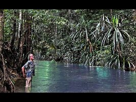 FIELD TRIP WITH PATRICK BLANC IN SOUTHWEST PAPUA - RAJA AMPAT ARCHIPELAGO 