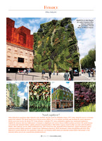 Evbahce, Turkish Feb 2013, Vertical Garden by Patrick Blanc