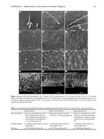 Botanical Studies (2011) vol 52 , Begonia blancii, publication, avril 2011