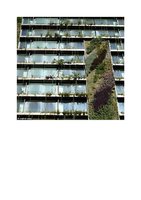 French.china.org.cn  Mai 2013, Vertical Garden by Patrick Blanc