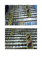 French.china.org.cn  Mai 2013, Vertical Garden by Patrick Blanc