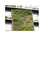 La Repubblica  23 mai 2013, Vertical Garden by Patrick Blanc