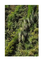 The Generalist August 2013, Vertical Garden by Patrick Blanc