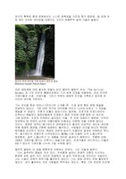 Lafent.com Korea 3 sept 2013, Vertical Garden by Patrick Blanc