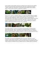 DesignMagazin Tcheque Sept 2013, Vertical Garden by Patrick Blanc