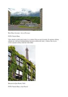 Novinky.cz  Tcheque Oct 2013, Vertical Garden by Patrick Blanc