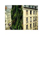 Homedsgn.com Oct 7th 2013, Vertical Garden by Patrick Blanc