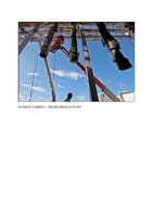 Miamiherald.com 21 Oct 2013, Vertical Garden by Patrick Blanc