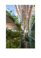 Miami.curbed.com  25 oct 2013, Vertical Garden by Patrick Blanc