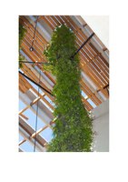 Miami.curbed.com  25 oct 2013, Vertical Garden by Patrick Blanc