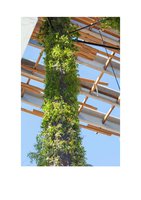 Miami.curbed.com  25 oct 2013, Vertical Garden by Patrick Blanc