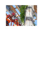 Miami.curbed.com  25 oct 2013, Vertical Garden by Patrick Blanc