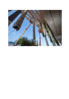 Miami.curbed.com  25 oct 2013, Vertical Garden by Patrick Blanc