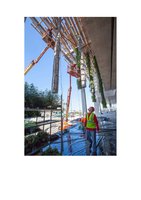 Miami.curbed.com  25 oct 2013, Vertical Garden by Patrick Blanc