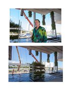 Miami.curbed.com  25 oct 2013, Vertical Garden by Patrick Blanc