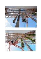 Miami.curbed.com  25 oct 2013, Vertical Garden by Patrick Blanc