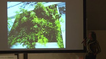 Bunkamura Conference, Tokyo, 17 sept 2014, 2/2, Vertical Garden by Patrick Blanc