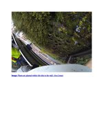 ABC.net.au  Australia 22 March 2014, Vertical Garden by Patrick Blanc