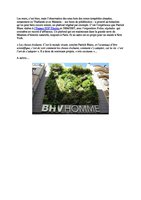 RFI  2009 - Patrick Blanc, inventeur des murs végétaux, Vertical Garden by Patrick Blanc