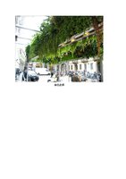 www.douban.com cn, Vertical Garden by Patrick Blanc