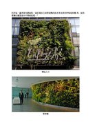 www.douban.com cn, Vertical Garden by Patrick Blanc