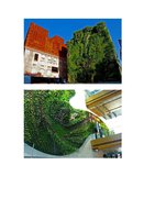 www.meeting.wgrc.cn 2014, Vertical Garden by Patrick Blanc