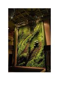 www.iarch.cn, Vertical Garden by Patrick Blanc