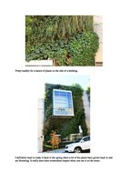 Drystonegarden.com Jan 2012, Vertical Garden by Patrick Blanc