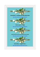 Slovak, ww.seniorka.szm.com  Feb 2013, Vertical Garden by Patrick Blanc